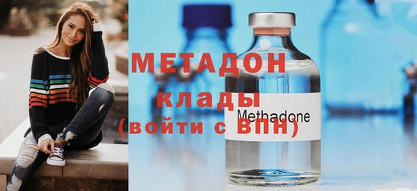 прущие грибы Абинск