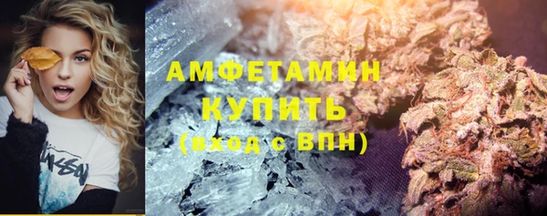 прущие грибы Абинск