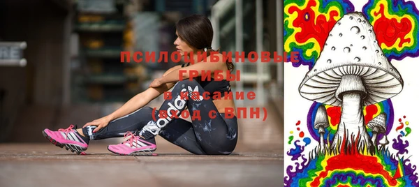 прущие грибы Абинск