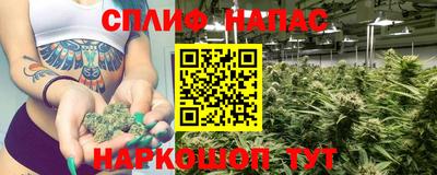 МДПВ Лесосибирск