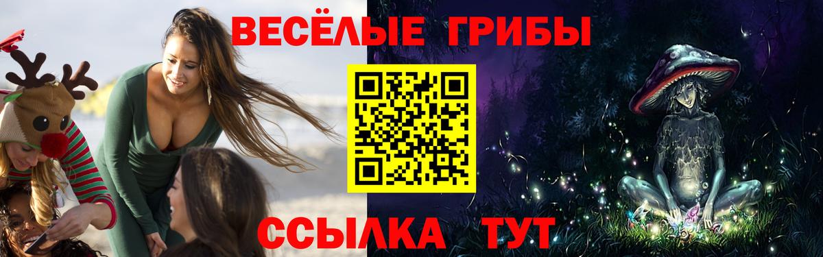 Ивантеевка  Галлюциногенные грибы ЛСД  Вход с VPN 